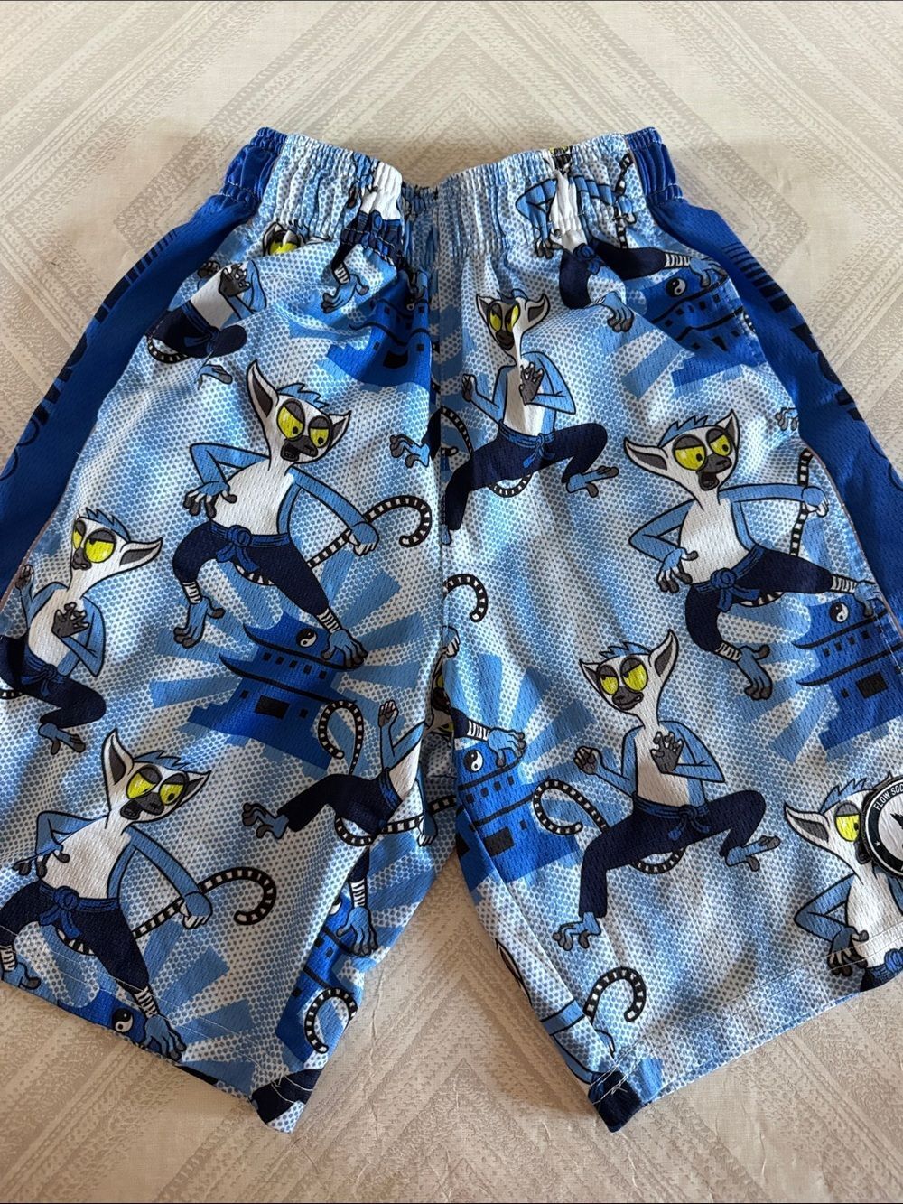 Flow Society Boys MediumLemur Martial Arts Athletic Shorts Blue Black White